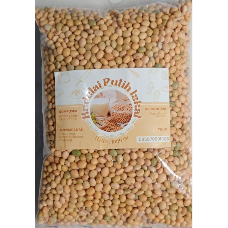 KEDELAI PUTIH FRESH 1 KG NON GMO |SUSU|TEMPE|TAHU|BIBIT