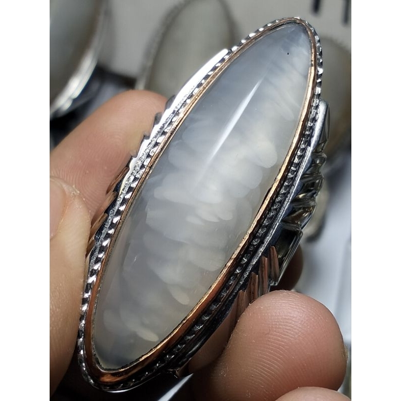 pandan kapas/pandan kapas rudal/pandan kapas rudal jumbo