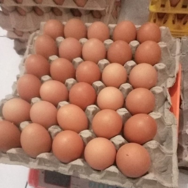 

Telor 30 butir stok baru fresh