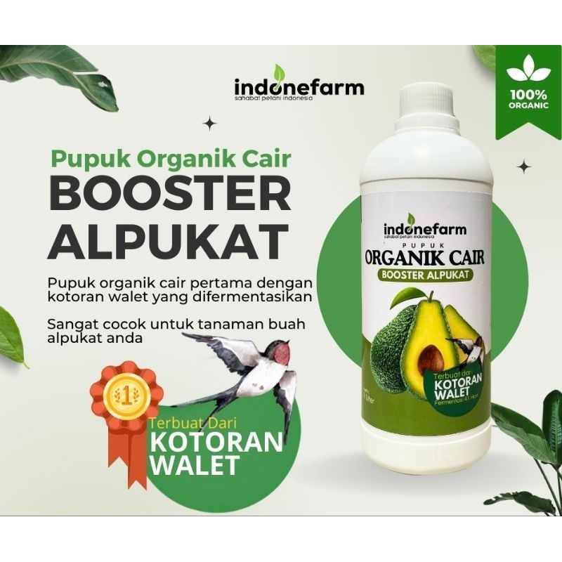 PUPUK KOTORAN WALET | COR ORGANIK BUAH ALPUKAT | Terbuat Dari Kotoran Walet Asli | Fermentasi 41 Har