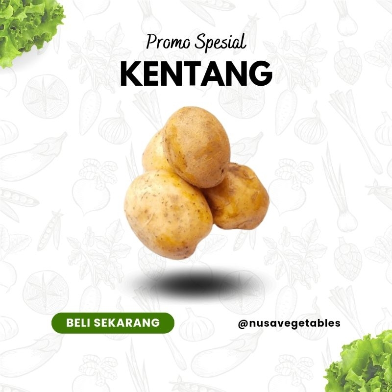 

NUSA VEGETABLE - Kentang Segar