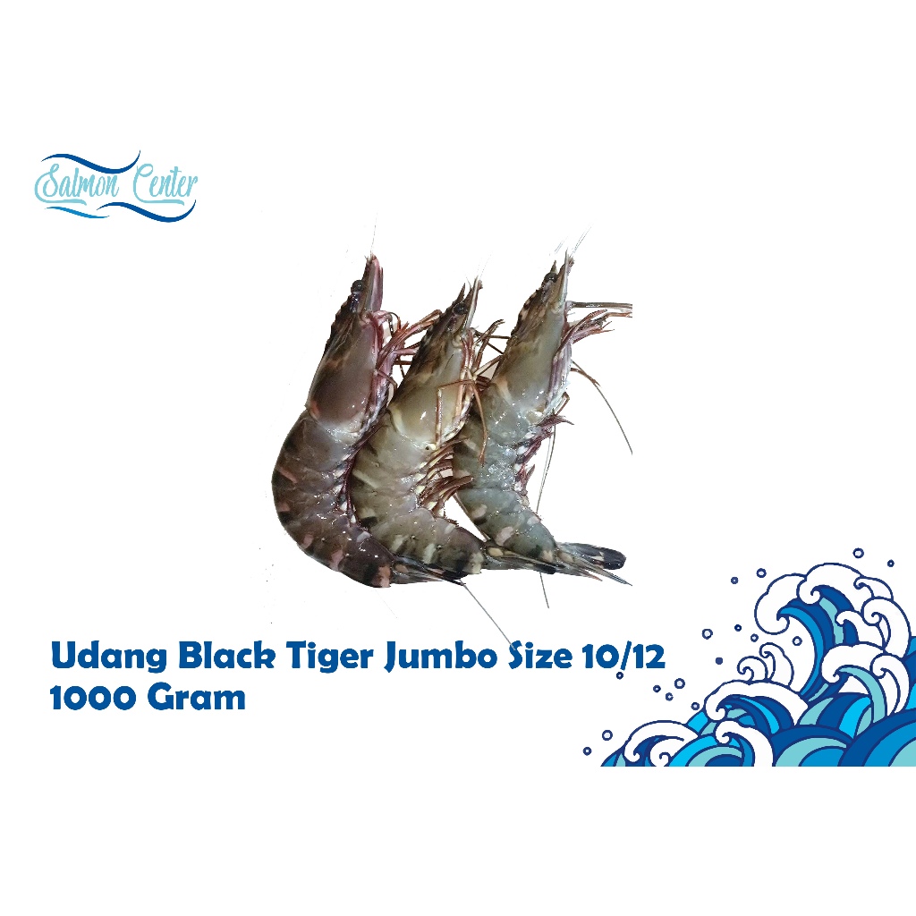 

Udang Black Tiger Jumbo Size 10/12