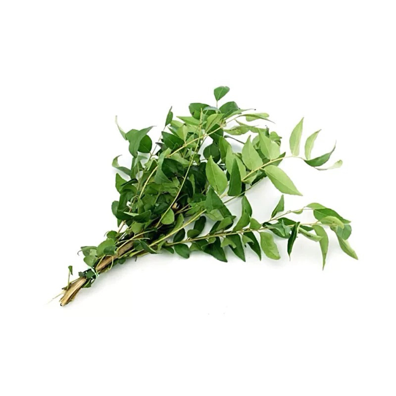 

Daun Kari Segar/ daun oen teumurui 1 ikat