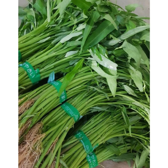 

Sayur Kangkung Segar 2 ikat