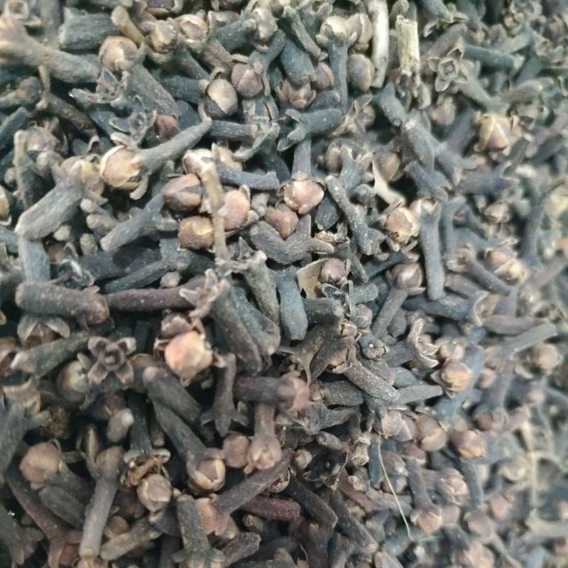 

Cengkeh / Clove