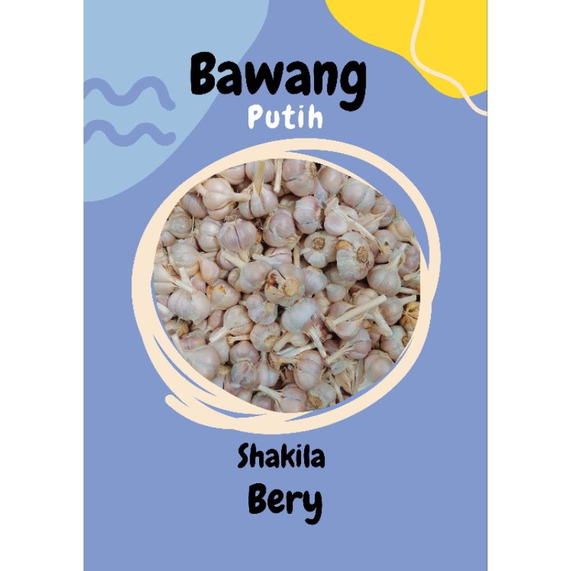 

bawah putih 1 kg