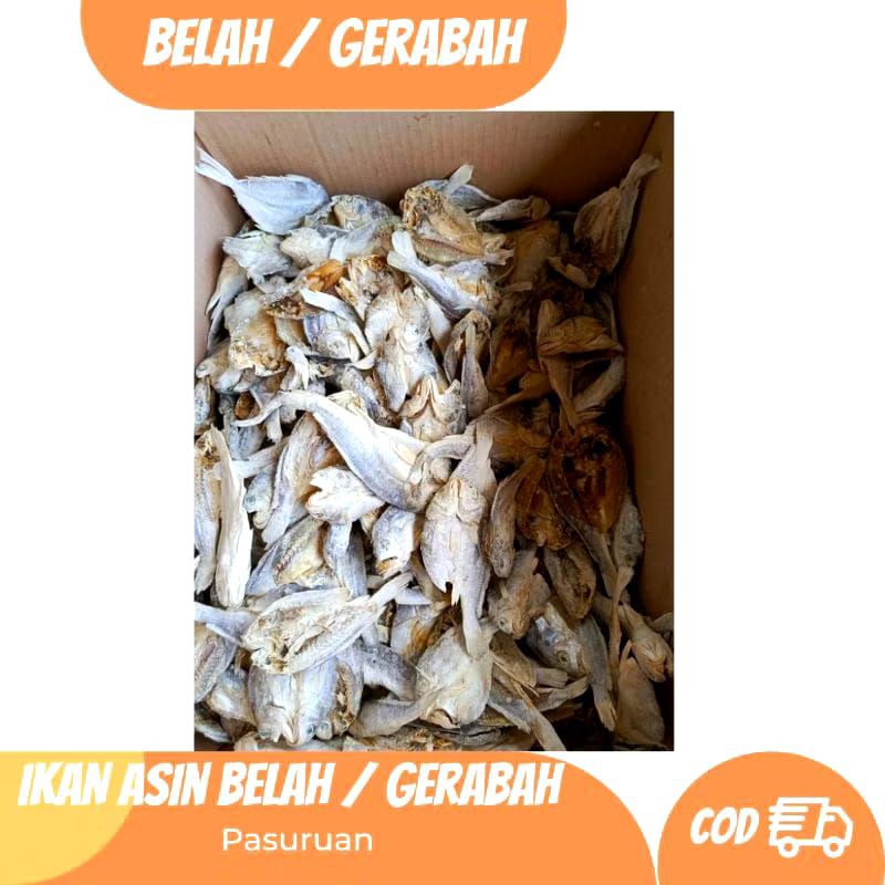 

Ikan Asin Belah / Gerabah / Kepala Batu Belah