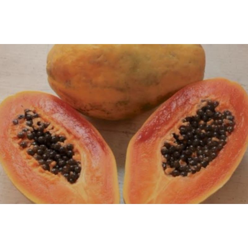 

Pepaya California Segar 1 Buah full