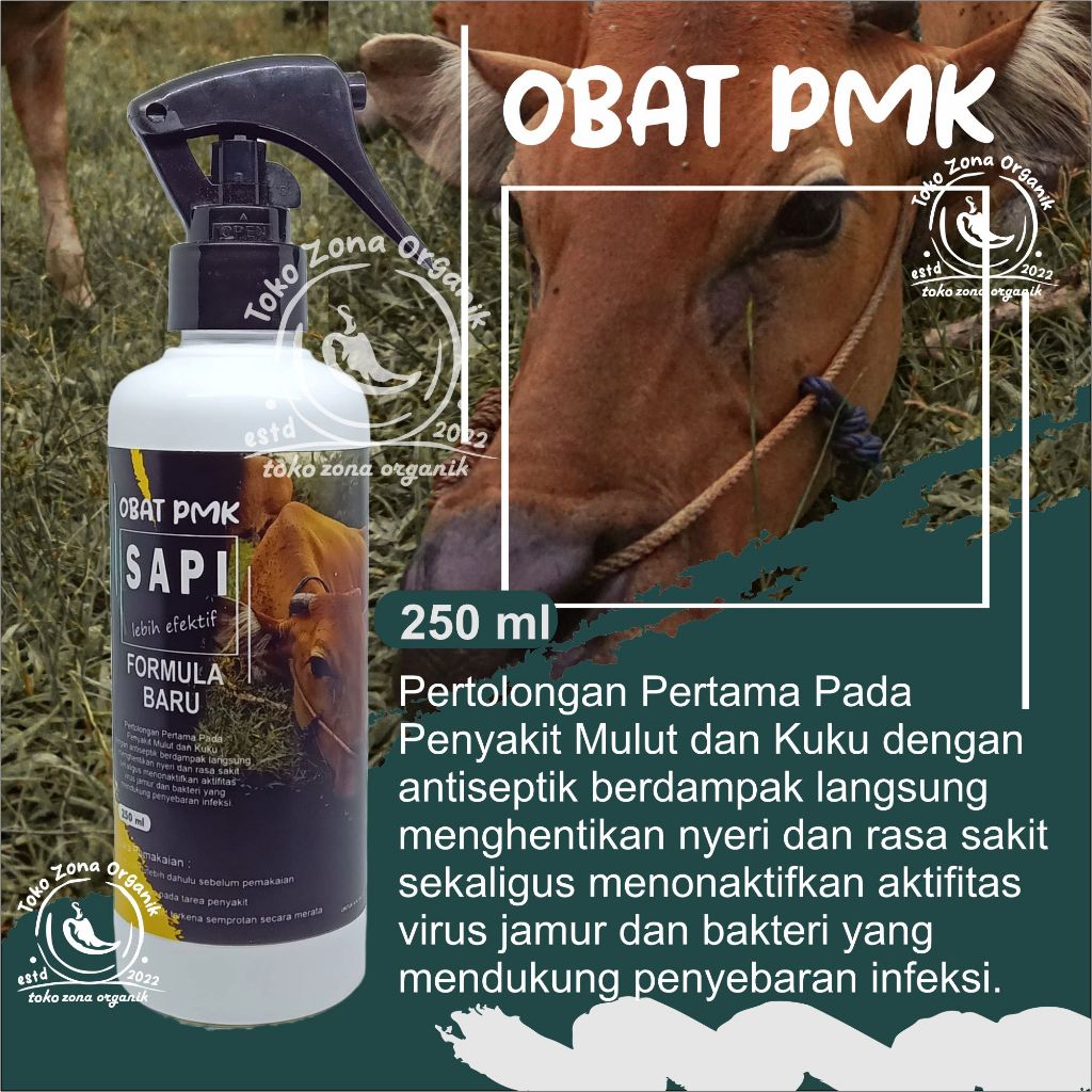 OBAT PMK SAPI BOROK KAMBING RUMINANSIA IRITASI KULIT LUKA SAPI scabies, kudis, koreng, eksim, dan ga