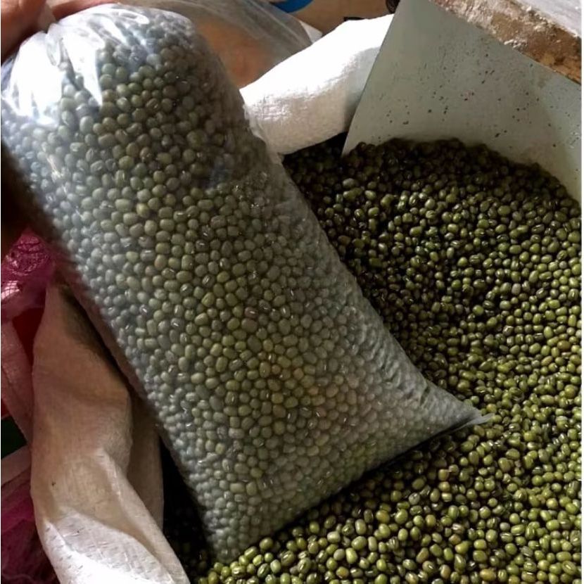 

1kg Kacang Hijau Lokal Super/Kacang Hijau Bubur/Kacang Hijau Kemasan Kiloan