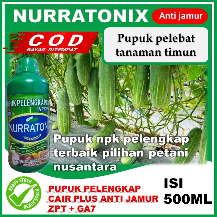 PUPUK timun terbaik paling ampuh pupuk zpt plus Ga7 PUPUK penyubur terbaik tanaman timun nurratonix