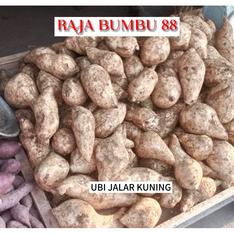 

UBI JALAR KUNING 500gr