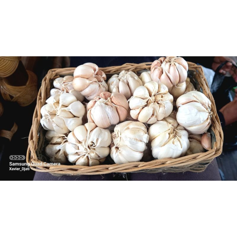

Bawang Putih utuh