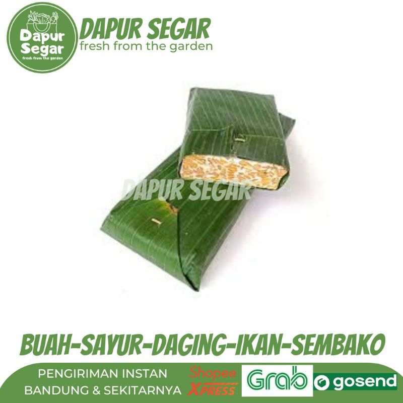 

tempe daun besar