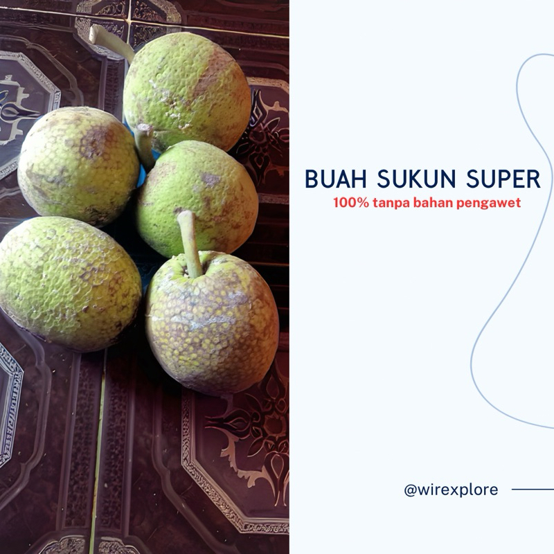 

BUAH SUKUN MENTEGA SUPE R 1KG