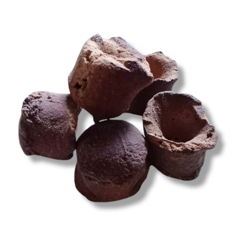 

Gambir 5 biji, berkhasiat untuk obat tradisional