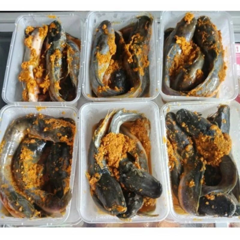 

ikan lele bumbu kuning siap masak 500gram