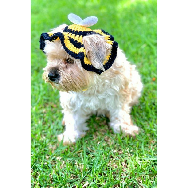 Topi Kucing Rajut/Pet Hat Bee Crochet/Topi Kucing Lebah Rajut/Topi Anjing Rajut