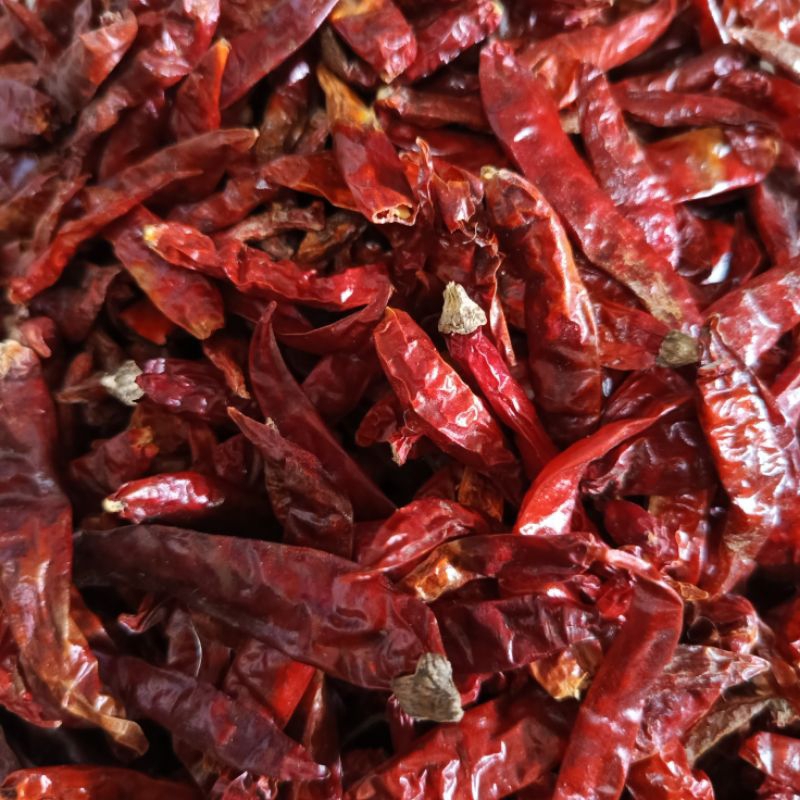 

Cabe kering super pedas murah 500g