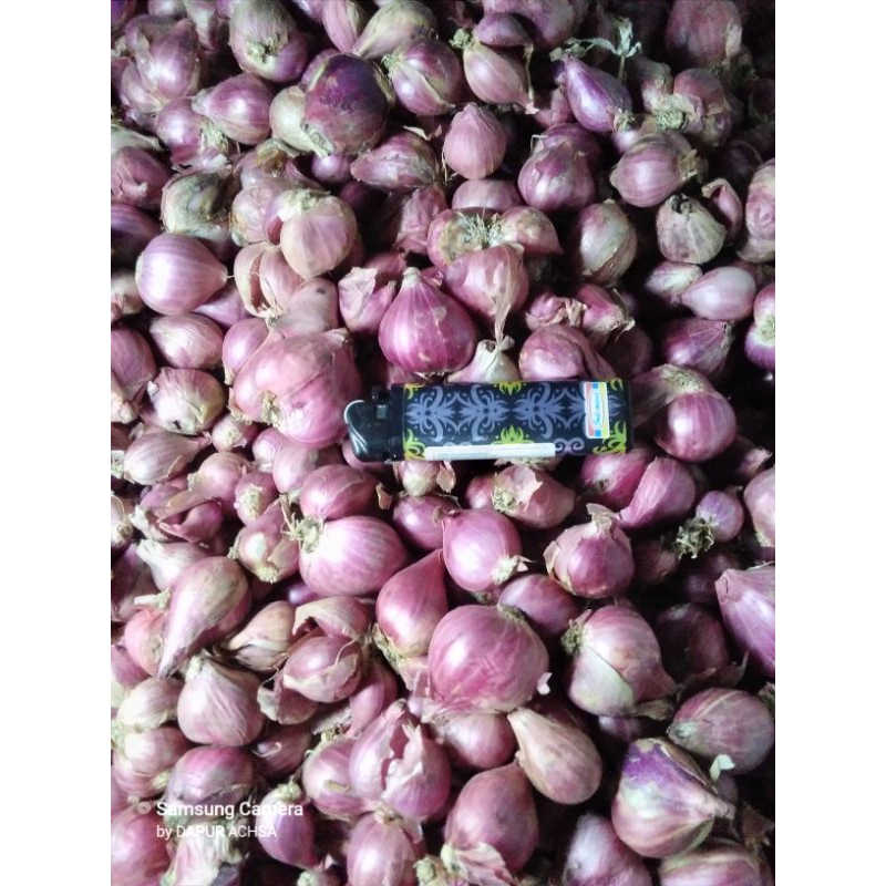 

Bawang Merah Nganjuk 1 Kg
