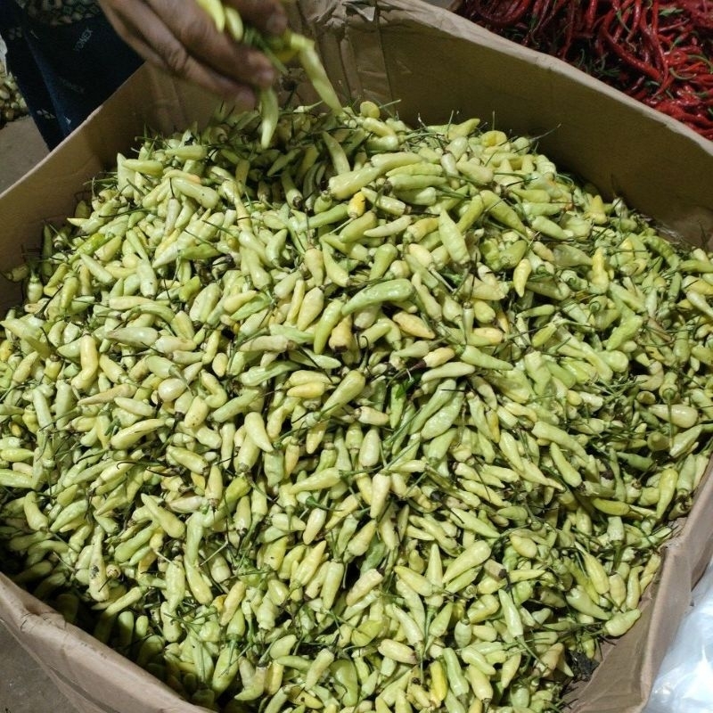 

rawit putih