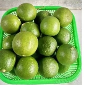 

jeruk nipis fresh