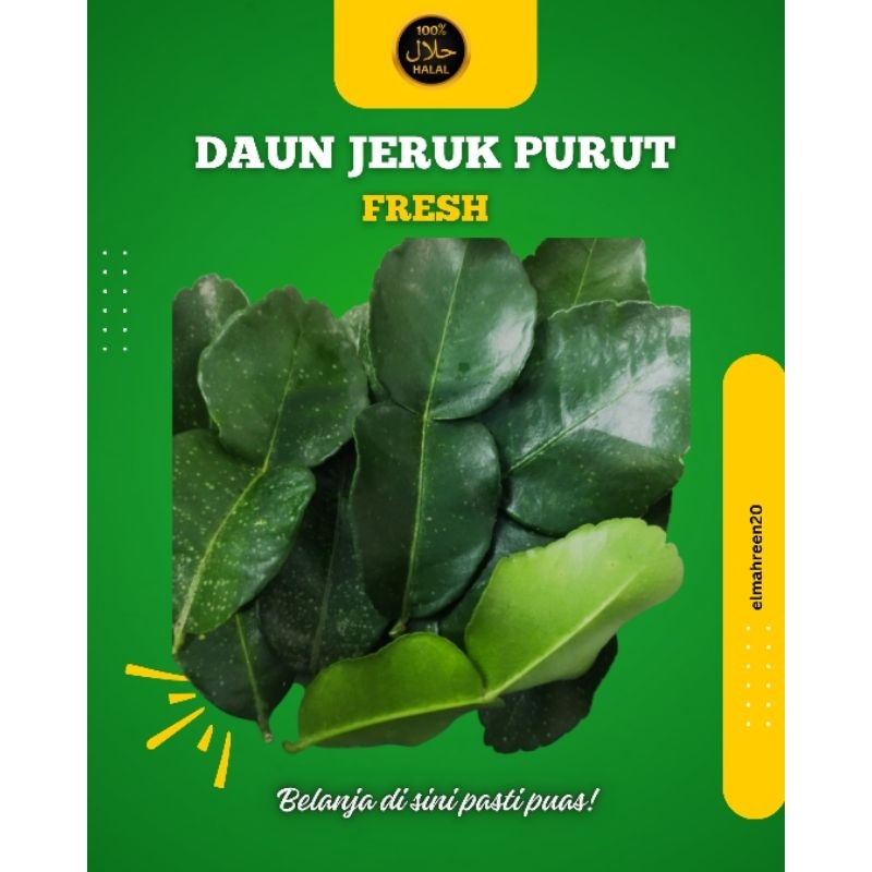 

DAUN JERUK PURUT FRESH, (dipetik saat akan dikirim)