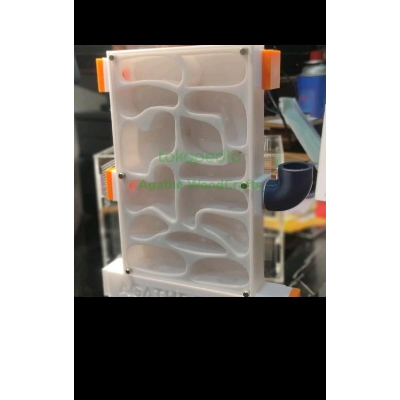 Semut Formicarium / Rumah Semut / Ant Nest