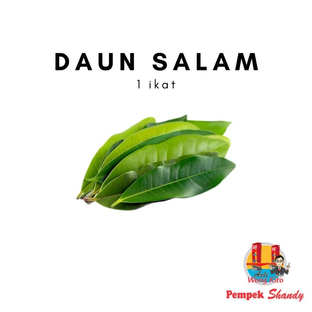 

Daun Salam 1Ikat