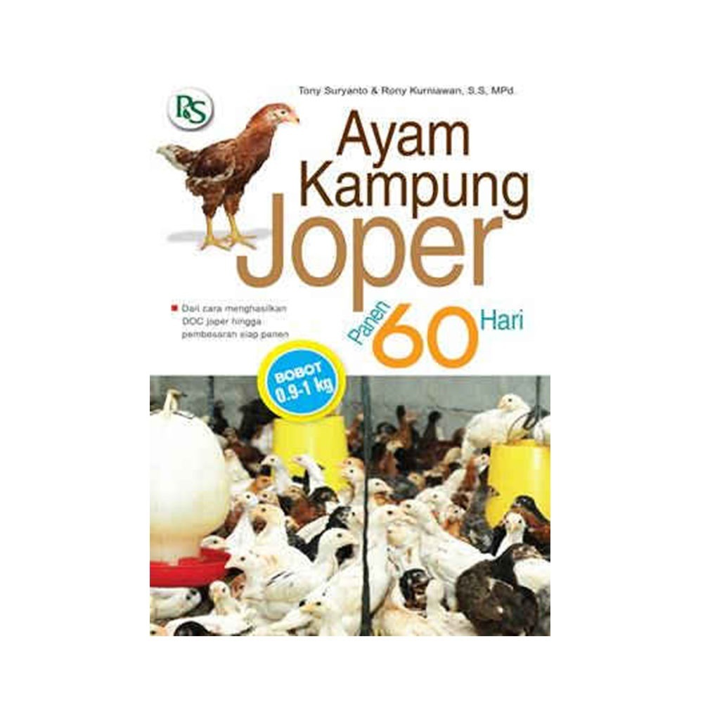 Beternak Ayam Kampung Joper (Jowo Super) / Ayam Kampung Joper Panen 60 Hari