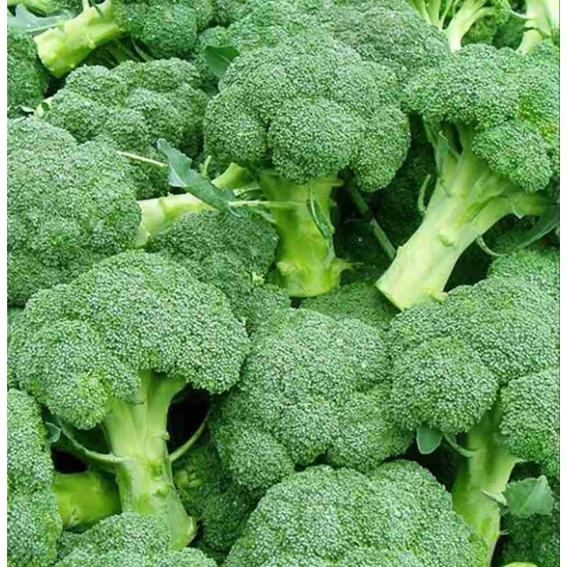 

KIRIM INSTAN Brokoli Segar berat 250 gram