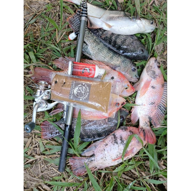 essen super strike ikan nila essen mujaer essen kolam empang danau sungai s.p