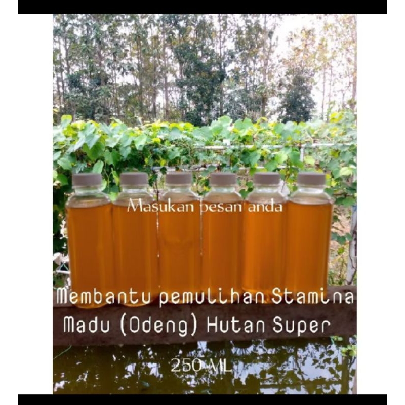 

Madu Odeng hutan 1000% dijamin kemurnian nya