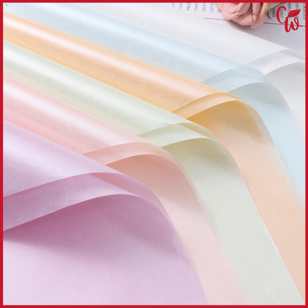 

Cellophane Plain Soft Pastel Flower Wrap Kertas Cellophane Warna Polos KB6206