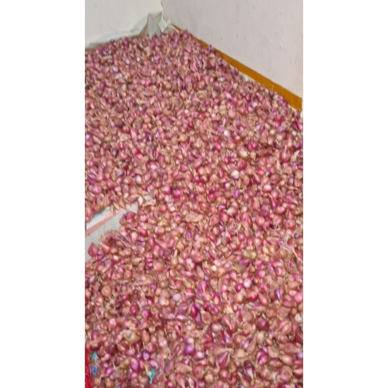 

BAWANG MERAH SUPERR 1 kg