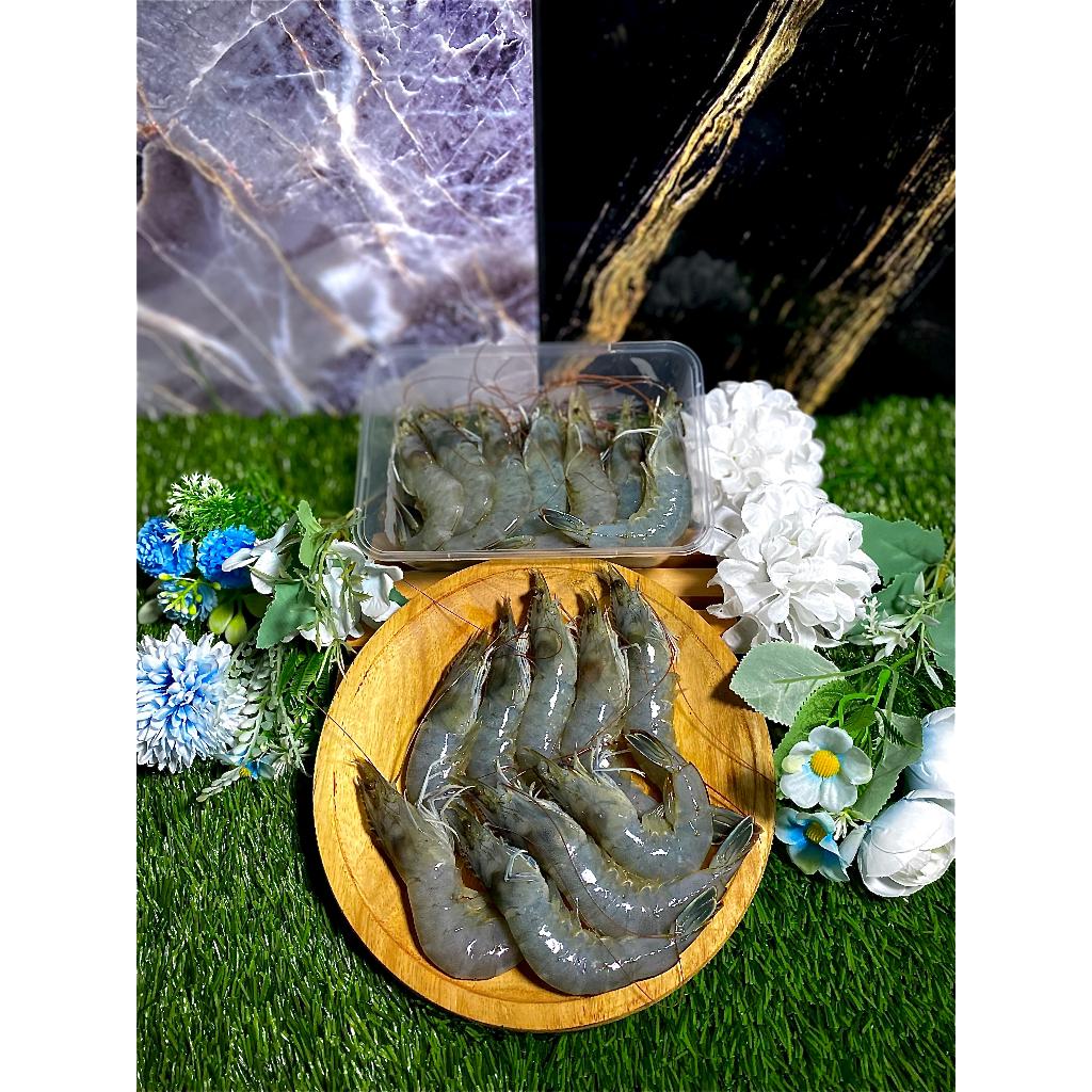 

Udang Vaname Fresh Ukuran Medium 35/40