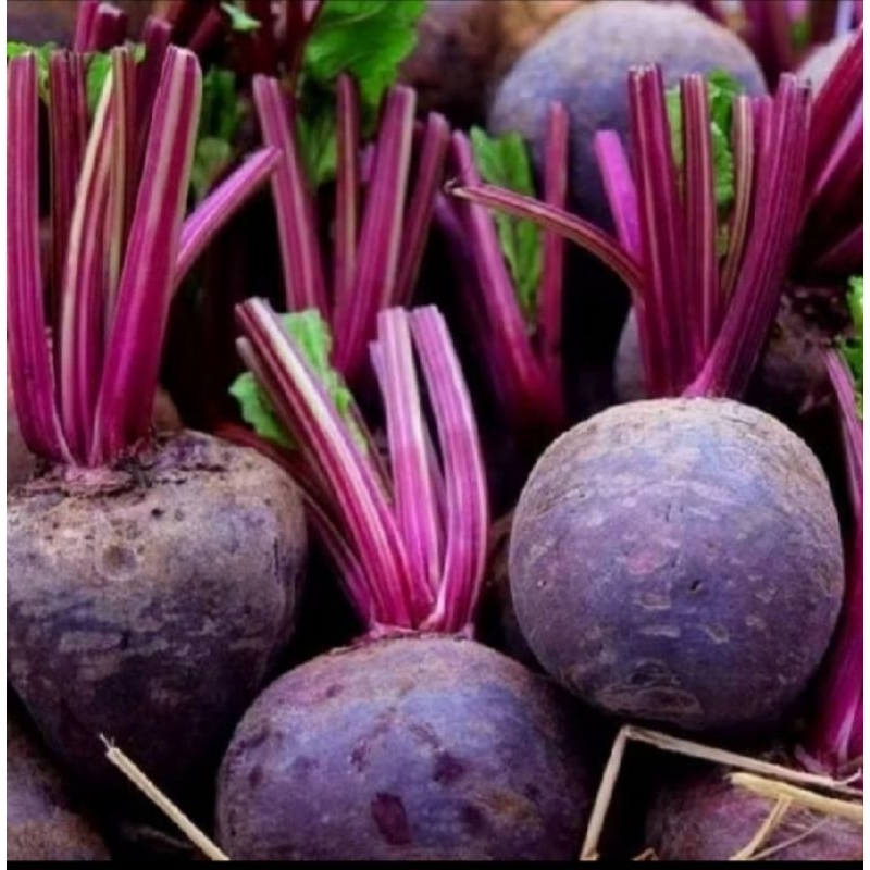 

Buah BIT / Beet Root Fresh ( 500g - 1000g )