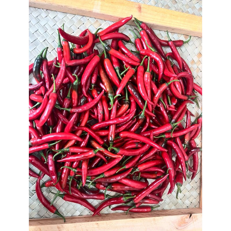 

Cabai Besar Super 500 gr Banyuwangi