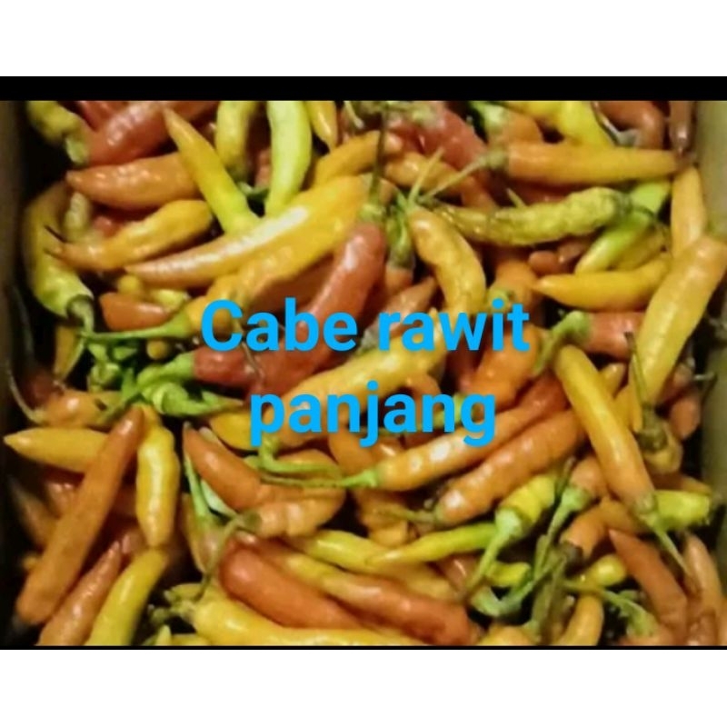 

cabe rawit panjang 250g