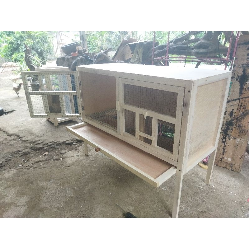 kandang merpati 2 pintu