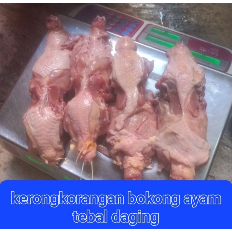 

kerongkong punggung 1kg bokong ayam berkwalitas Halal.