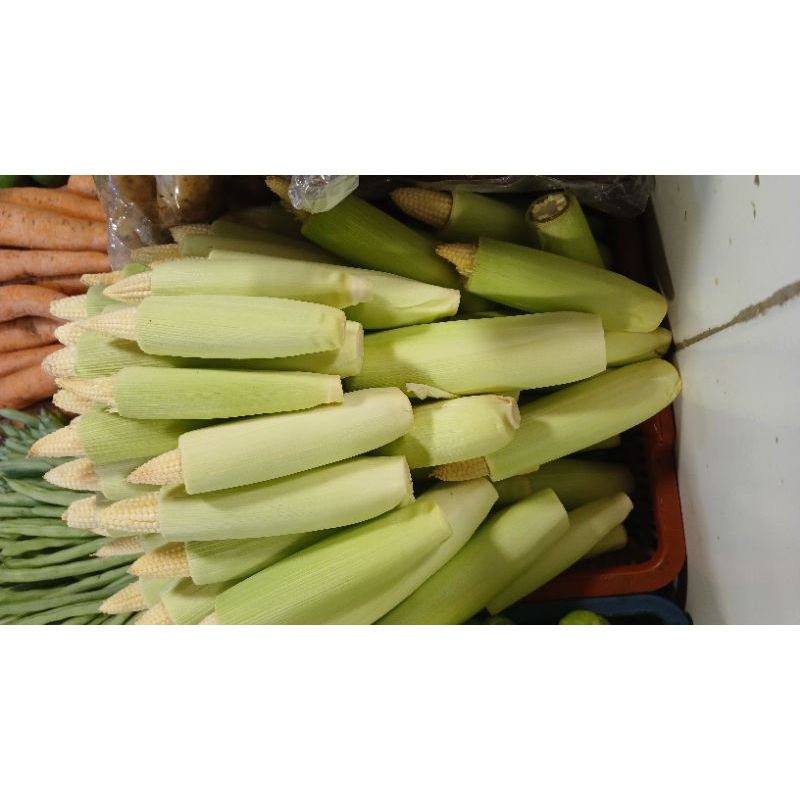 

jagung putrn/jagung kecil 250gram