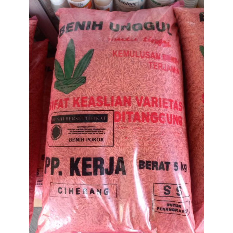 benih padi pp kerja boyolali ciherang 5kg