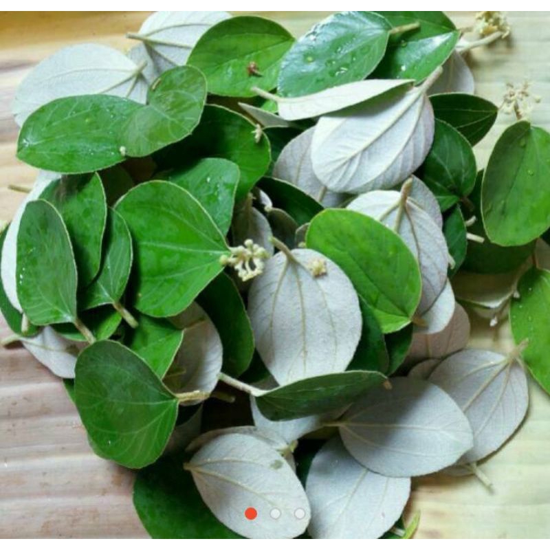 

Daun bidara 100 lembar