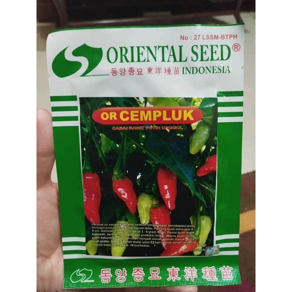 Benih Cabe Rawit OR Cempluk Oriental Seed 10 gr