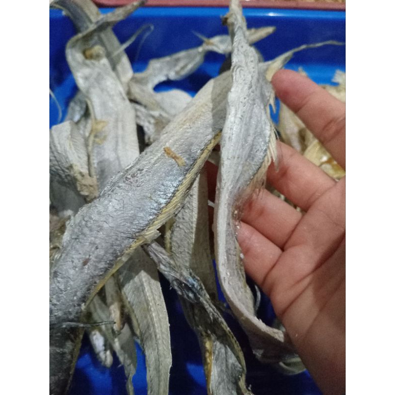 

Ikan kering Layur tanggung /besar