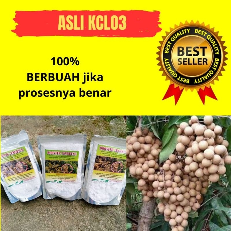 GARANSI ASLI Booster Kelengkeng Asli, Booster Kelengkeng Terbaik