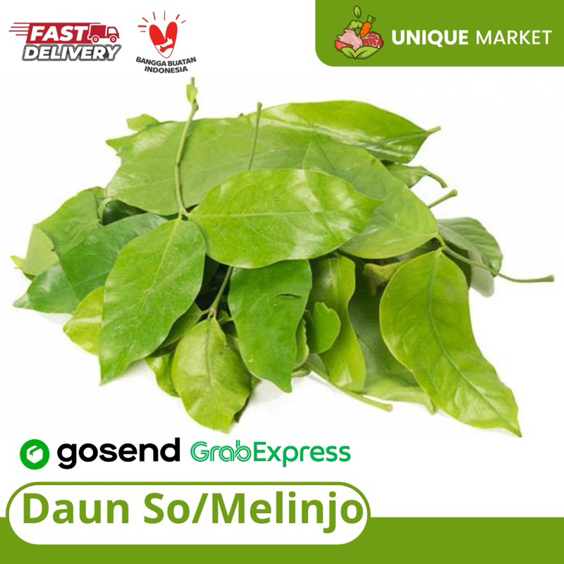 

Daun So/ Daun Melinjo Satu Bungkus