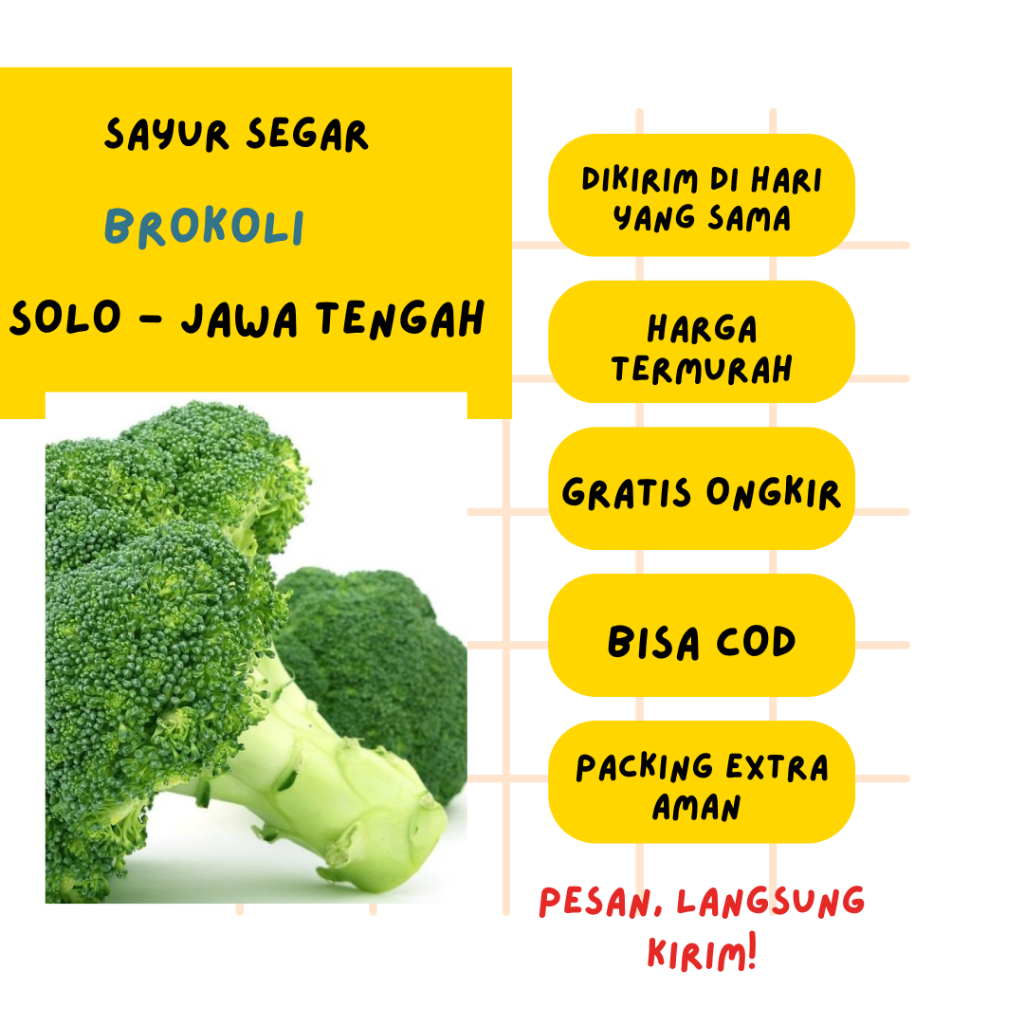 

Brokoli Segar Surakarta - Sayuran Sehat Siap Masak | Fresh Food