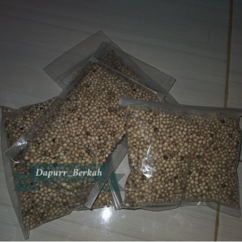 

MERICA PUTIH BULIR UTUH | LADA PUTIB BULIR UTUH | LADA PUTIH